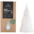 Candela a forma di albero di Natale Matcha - formato grande Original Home