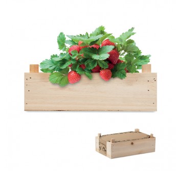 STRAWBERRY - Kit per coltivare fragole