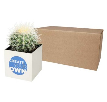 Vaso in alluminio con pianta, cactus Hey Pots
