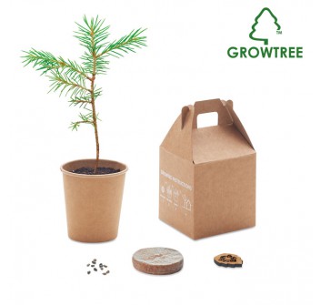 GROWTREE ™ - Pine wood set