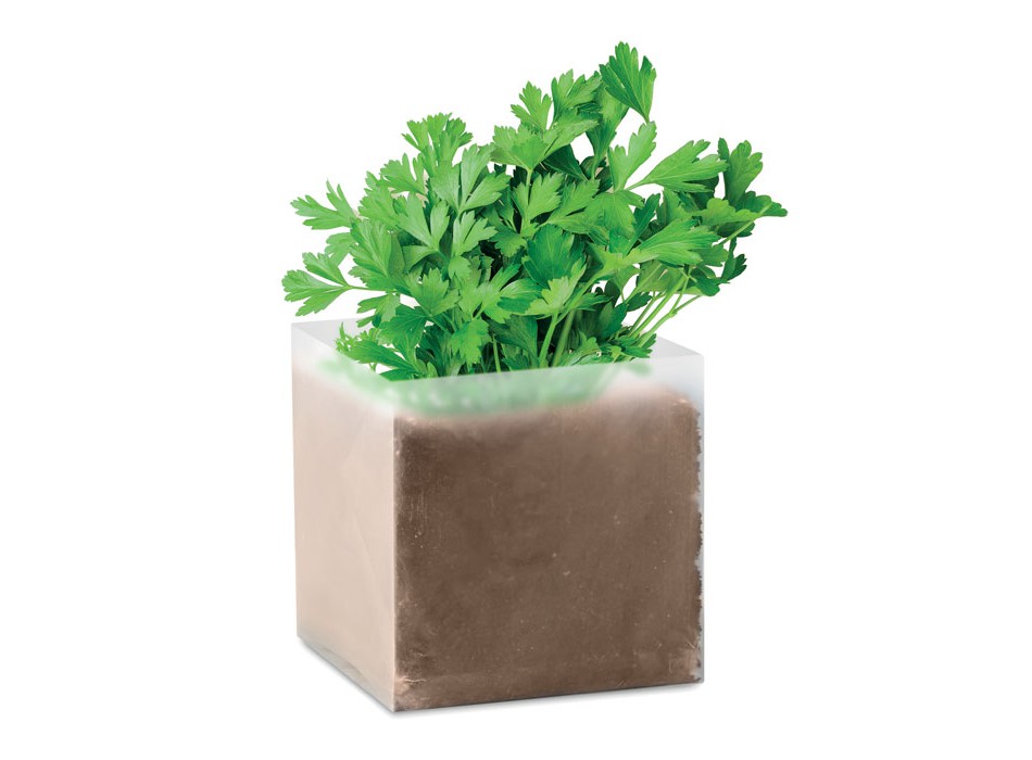 PARSELY - Parsley seeds